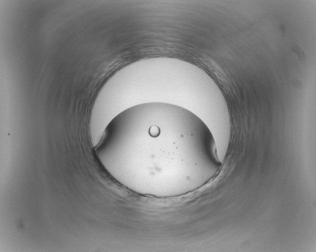 X0000115040045200911161536