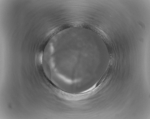 X0000115040047200911161536