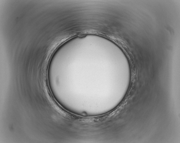 X0000115040049200911161535