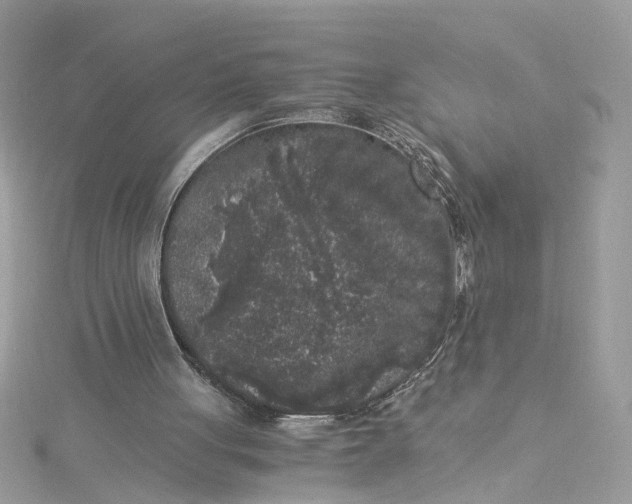 X0000115040051200911161535