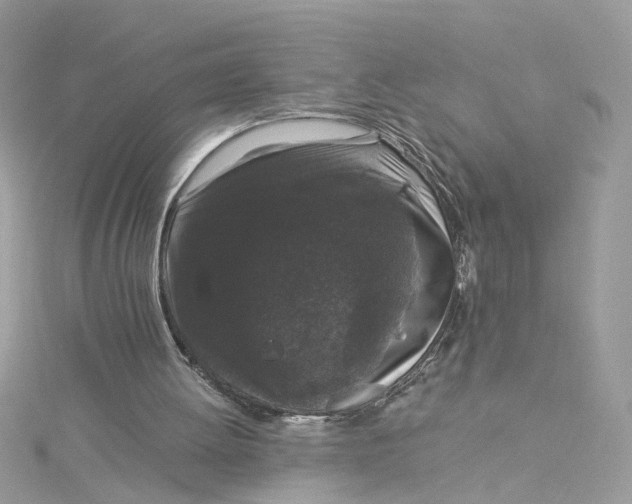 X0000115040052200911161535