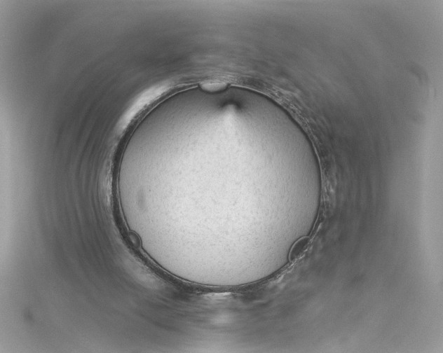 X0000115040054200911161535