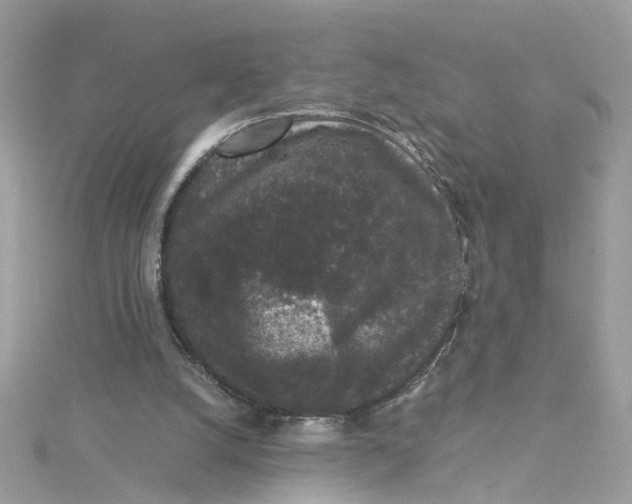 X0000115040056200911161536