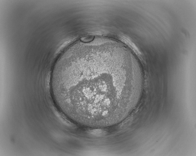 X0000115040058200911161536