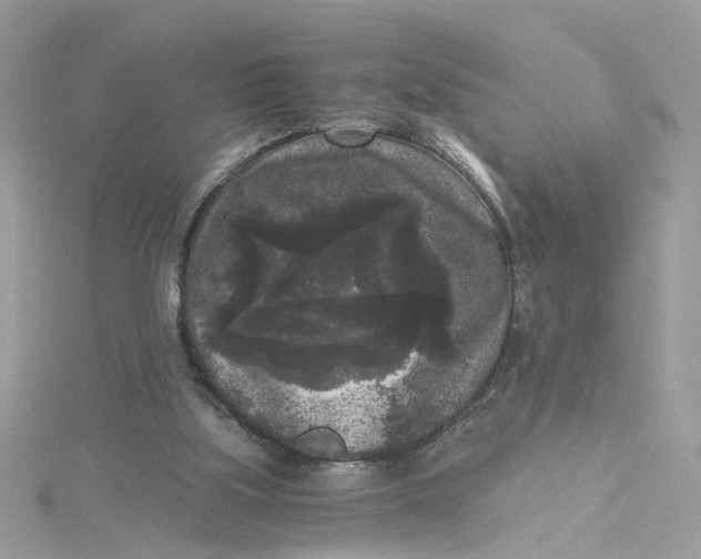 X0000115040059200911161536