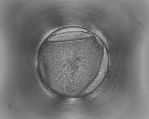 X0000115040060200911161536