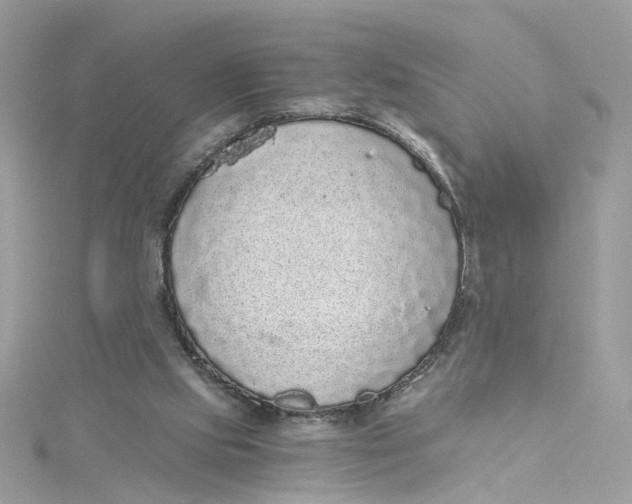 X0000115040061200911161536