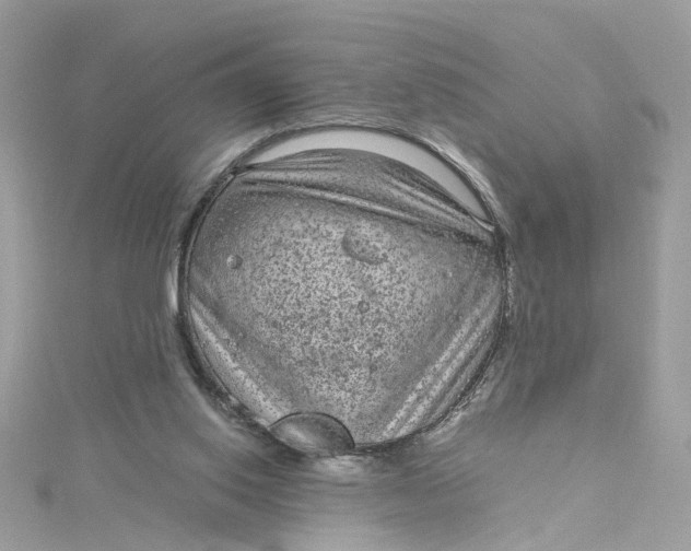 X0000115040062200911161536