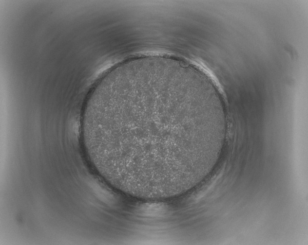 X0000115040063200911161536