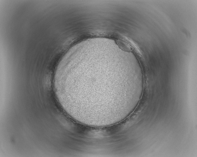 X0000115040065200911161536