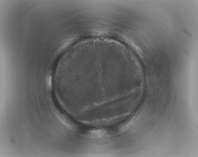 X0000115040067200911161536