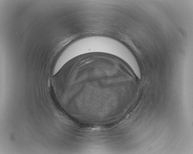 X0000115040068200911161536