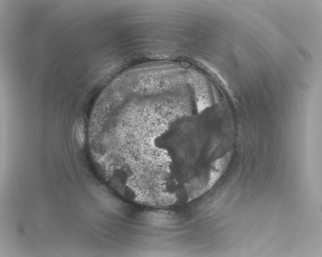 X0000115040069200911161536