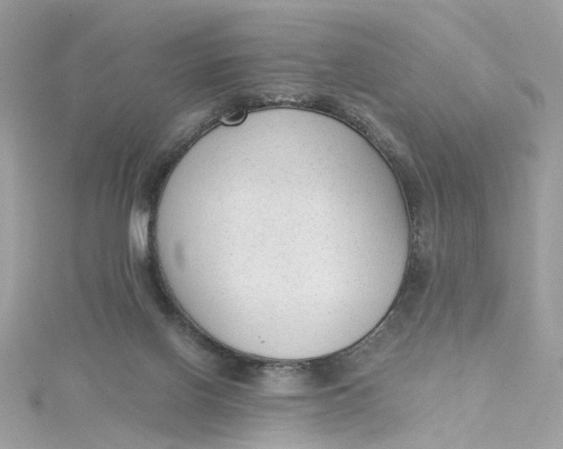 X0000115040070200911161536