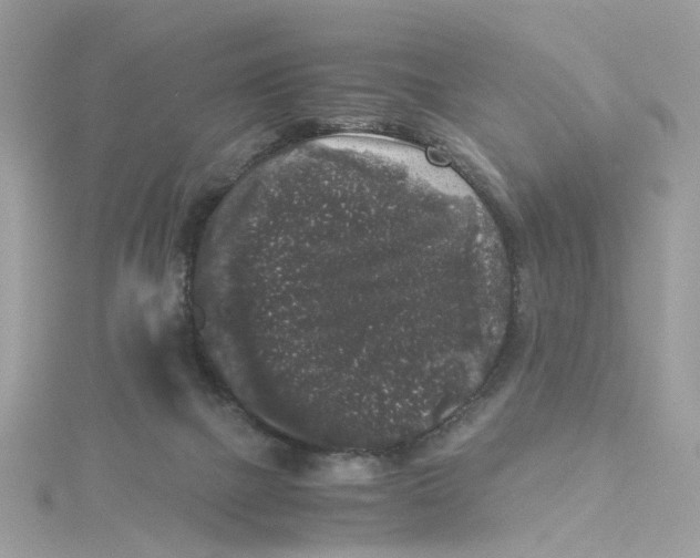 X0000115040073200911161536