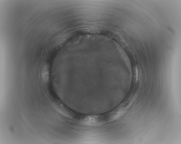 X0000115040080200911161536