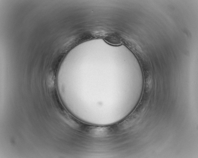 X0000115040081200911161536