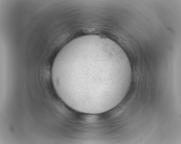 X0000115040085200911161536