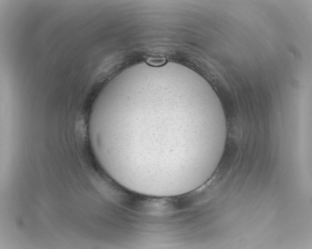 X0000115040086200911161536