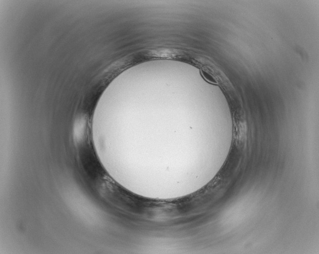 X0000115040095200911161536