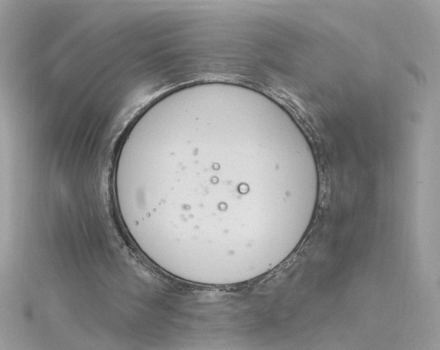 X0000115040098200911161535