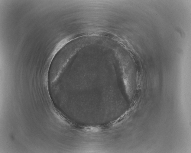 X0000115040099200911161535