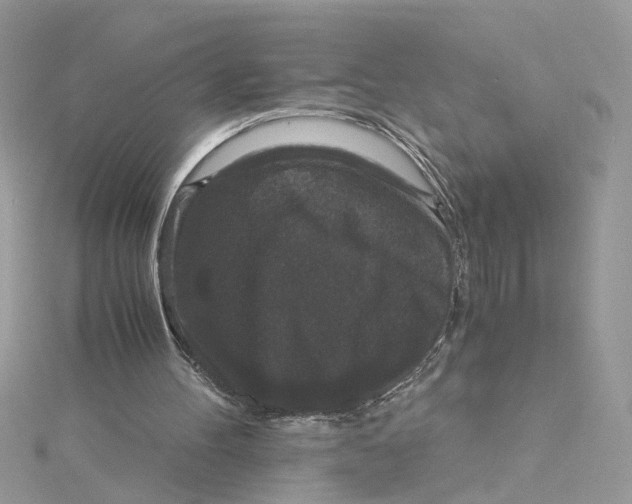 X0000115040100200911161535