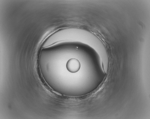 X0000115040101200911161535