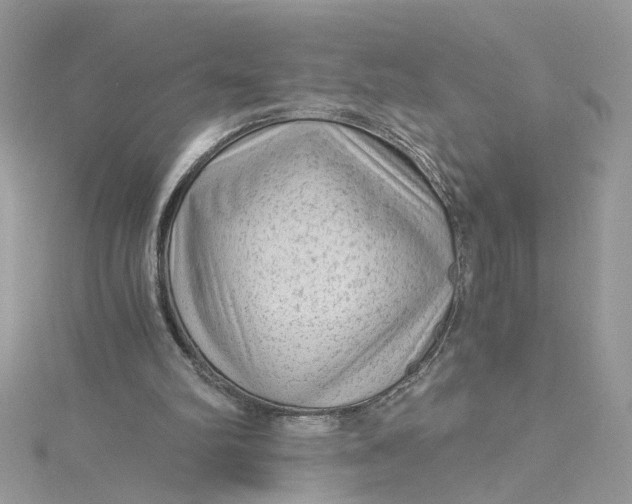 X0000115040102200911161535