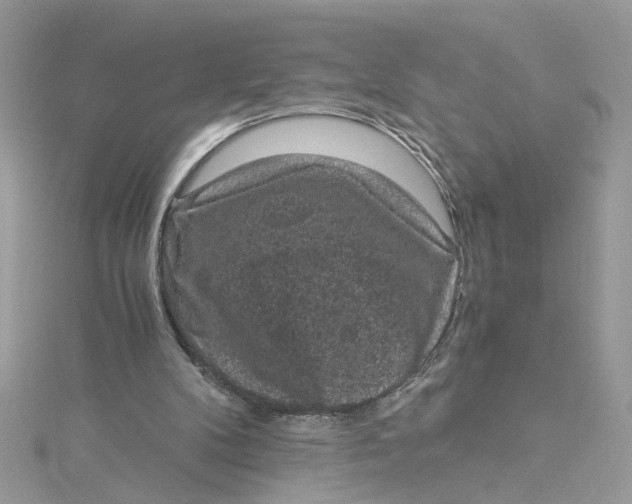 X0000115040104200911161535