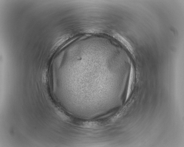 X0000115040105200911161535