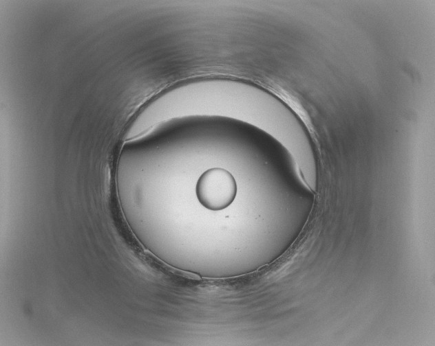 X0000115040109200911161535