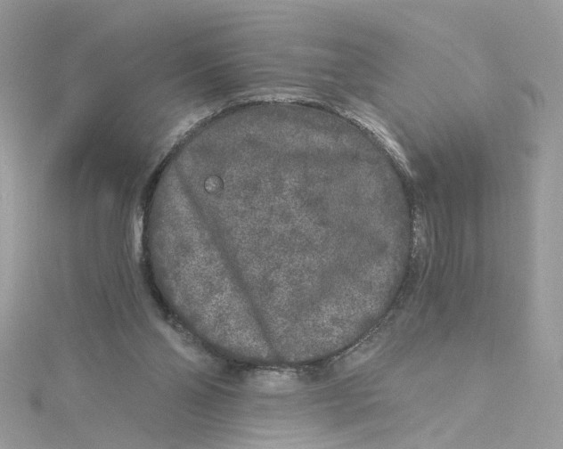 X0000115040110200911161535