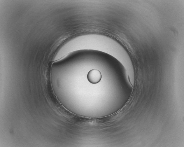 X0000115040116200911161535