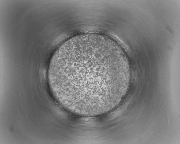 X0000115040117200911161535