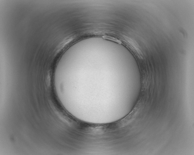 X0000115040120200911161535