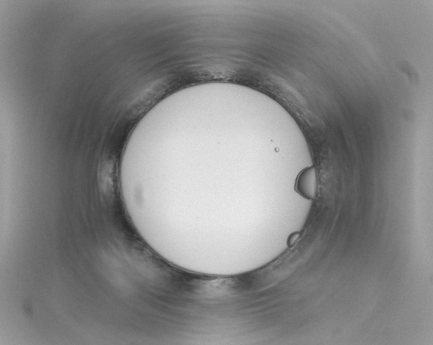 X0000115040122200911161535