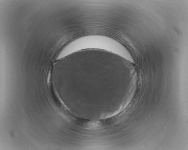 X0000115040124200911161535