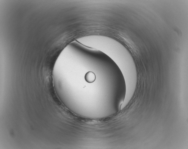 X0000115040125200911161535