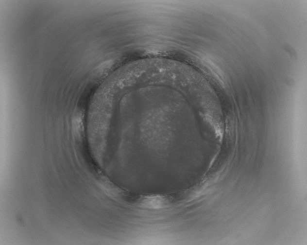 X0000115040127200911161535