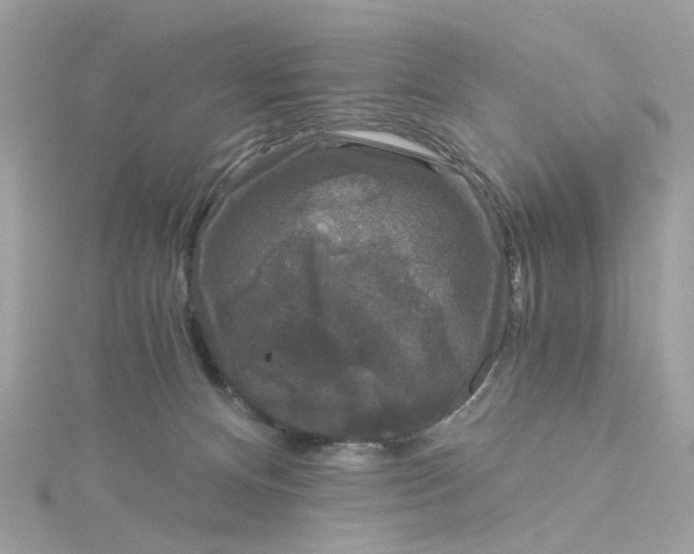 X0000115040128200911161535