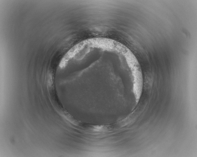 X0000115040130200911161535