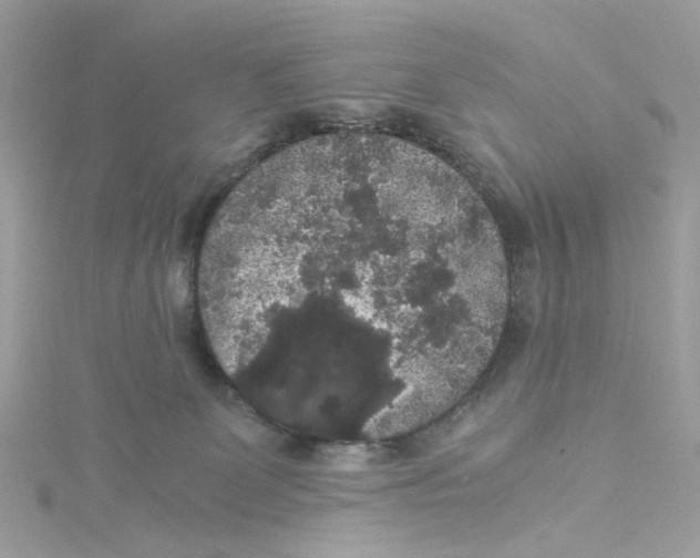 X0000115040131200911161535