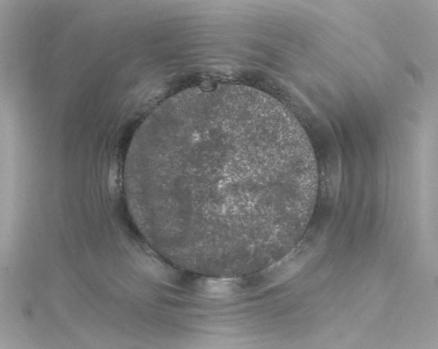 X0000115040134200911161535