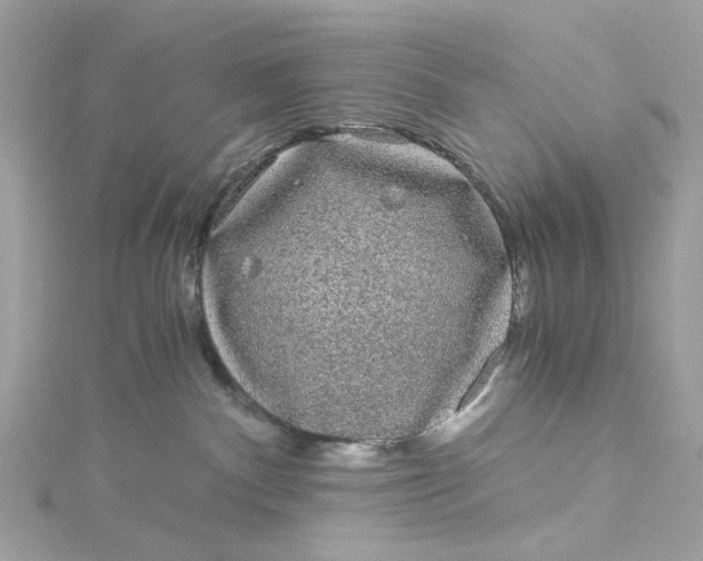 X0000115040140200911161535