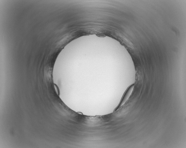 X0000115040141200911161535