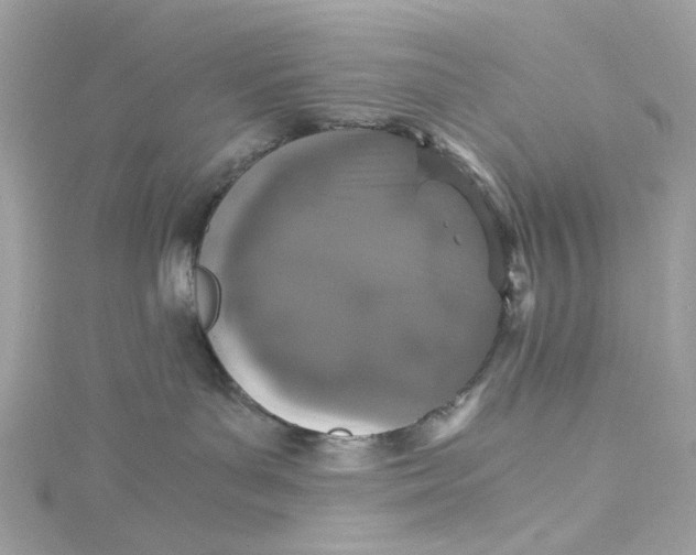 X0000115040143200911161535