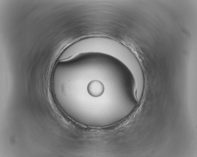 X0000115040145200911161534