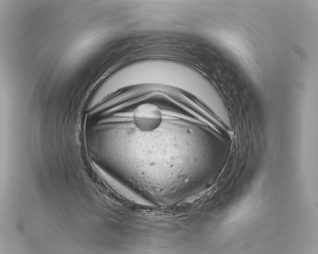 X0000115040146200911161534