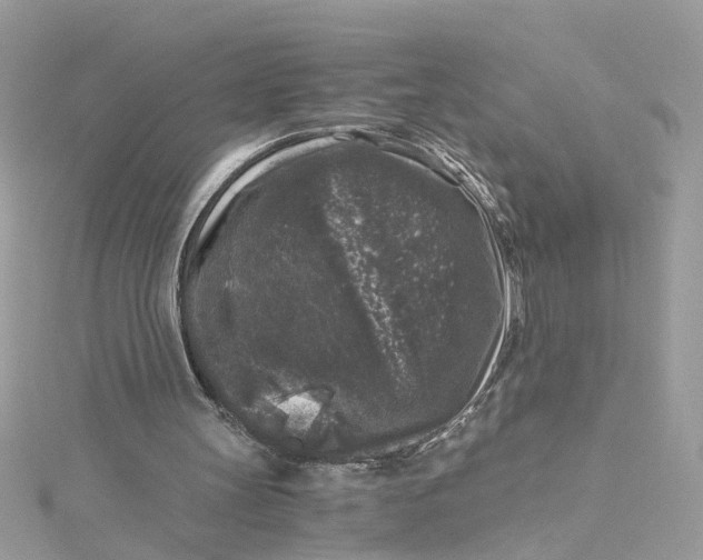 X0000115040147200911161534